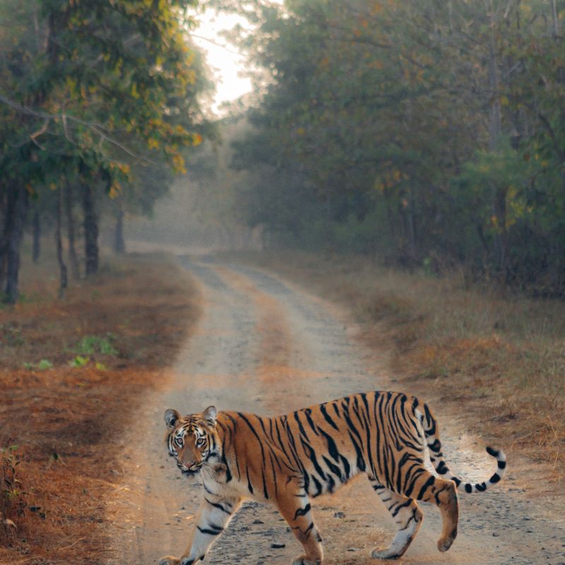 images/insta/Uttarakhand Tour Package 8 Nights 9 Days 6.jpg